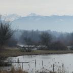 Eine Runde um den Flachsee – Naturschutzgebiet und Vogelparadies (Februar 2021)